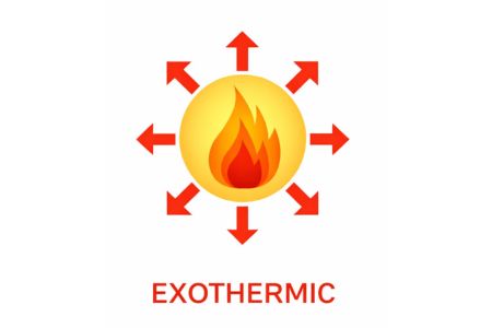 Safe Processing of Exothermic Reactions